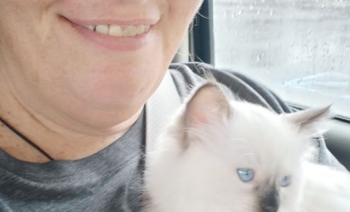 LC Mountain Cattery Burnsville