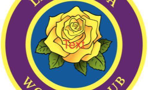 Lago Vista Volunteers Inc (Behind the library)