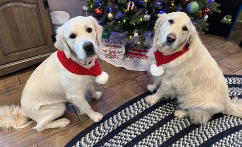 Bark Place of Ulster