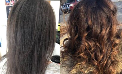 The Menagerie Montgomery