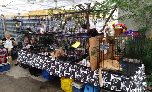 Muddy Paws Pet Supplies