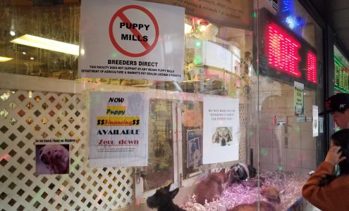 Teacup Pup Corporation.