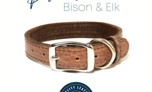 Quality Leather Dog Collars Pettus