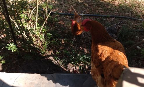 Putnam Feed & Farm Supply