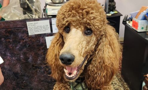 Tower Place Jewelers