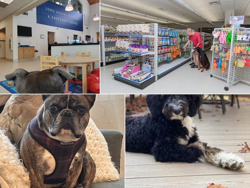 Long Animal Hospital and Emergency Center | Charlotte NC