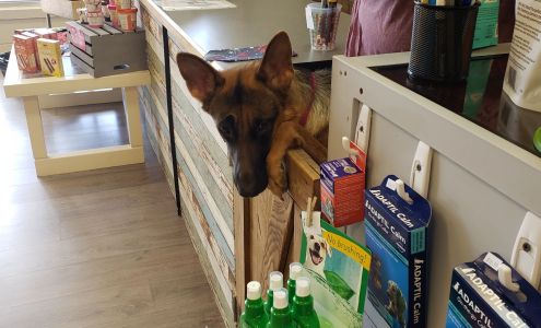 Prohund Pet Clemmons