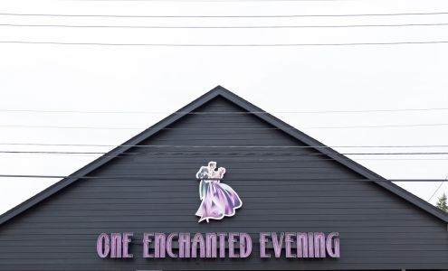 One Enchanted Evening