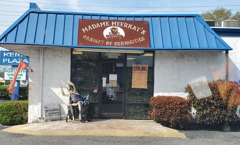 Madame Meerkat's Cabinet of Curiosities