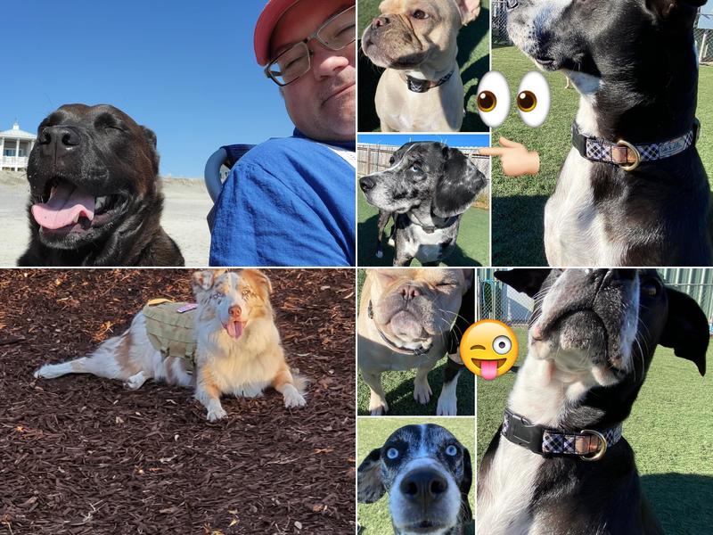 Magnolia's Bed & Biscuit