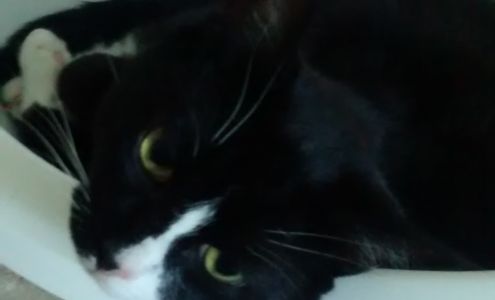 Stand Out Home Improvement