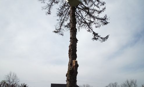 Bergman Hardware Inc