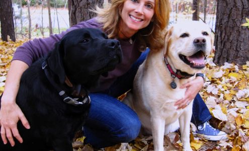 Carolina Dog Training, LLC