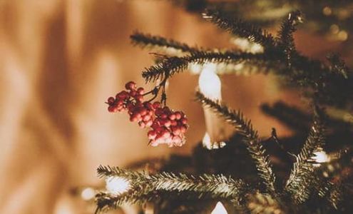 Elegant Weddings & Formal Wear