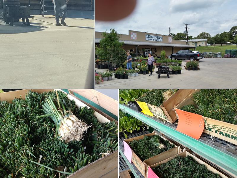 Linseisen's Feed & Supply Inc