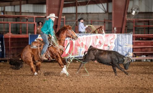 Circle T Arena Hamilton