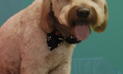 Pets Planet Groom & Pet Shop