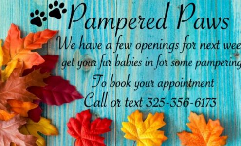 Pampered Paws Stephenville