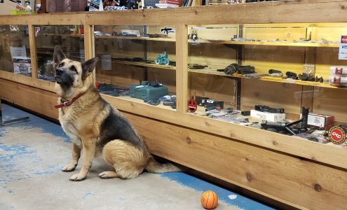 MountainTop Gun Shop Winslow