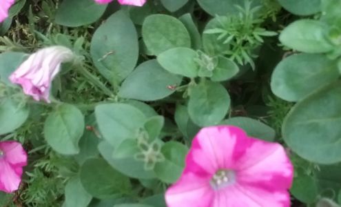 Books & Beyond Online