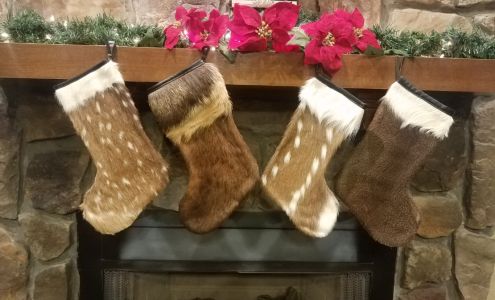 DoubleStarBrand Elkhart