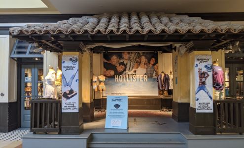 Hollister Co.