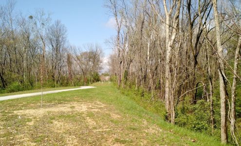 Arcade Beauty Chattanooga