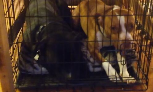 GenXFinity Johnson City