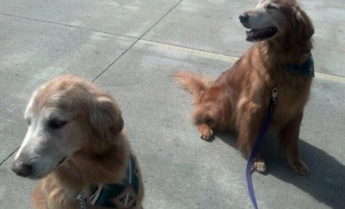 Pet-Tastic Grooming & Supplies