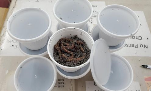 Buckle's Hardware Twin Valley