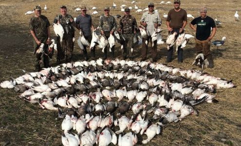 Swift River Outfitters