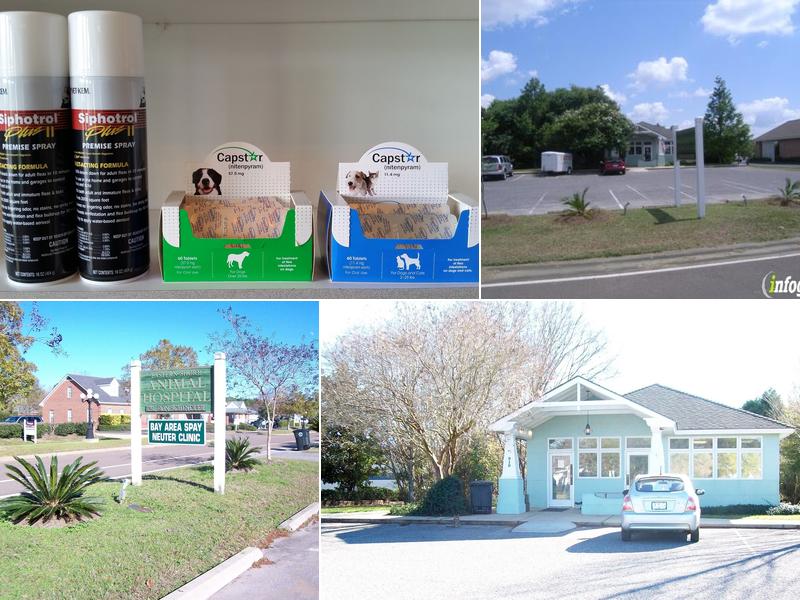 Eastern Shore Pet Hospital