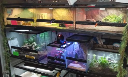 Best Pets Detroit Lakes