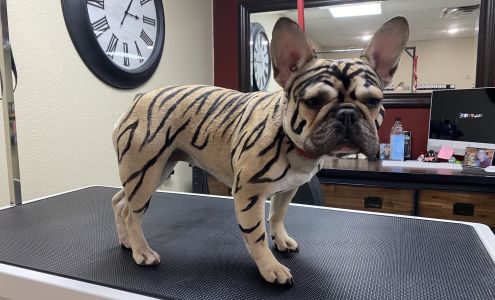 Bark Avenue @ The Trails 3730 W Amarillo Blvd, Amarillo Texas 79106