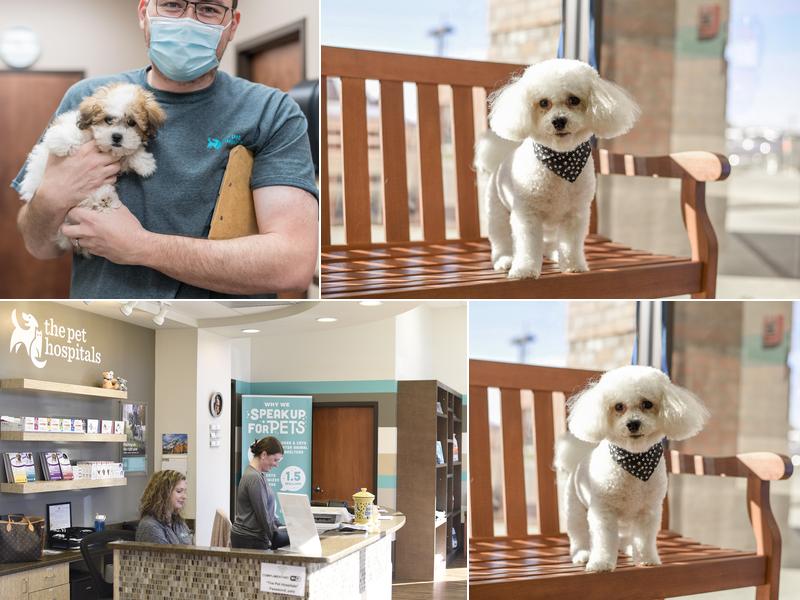 The Pet Hospitals Houston Levee & Macon