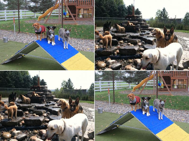 AnimaLodge Pet Resort