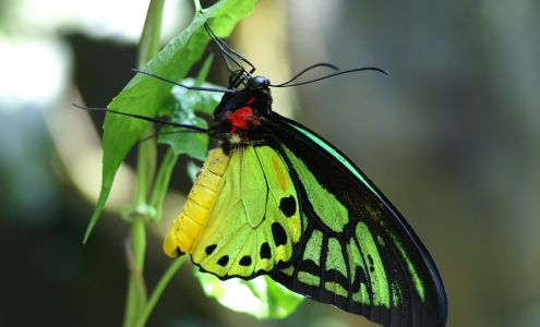 His Corner Book Store/Coffee