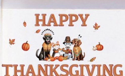 Soaps By Sonja Westmoreland