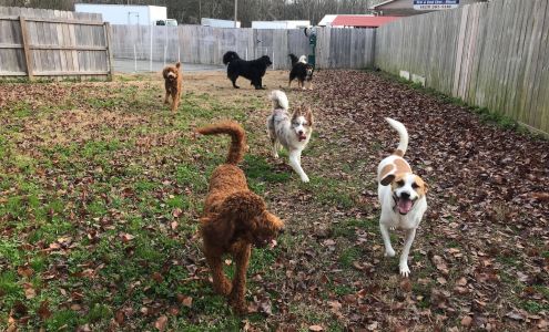 PetQuest Spa & Hotel