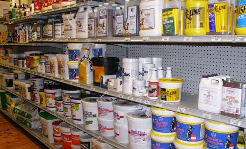 Cheshire Horse of Saratoga