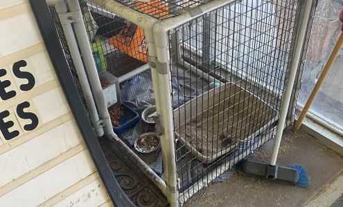 Humane Society Thrift Store