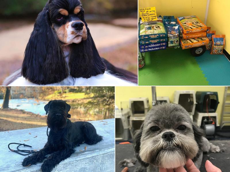 Best In Show Grooming LLC