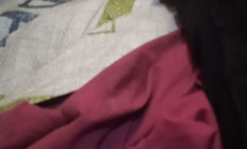 K C Inc Photographic Services