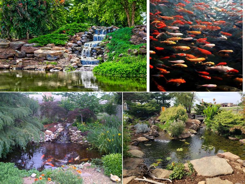 Garden Ponds Unlimited