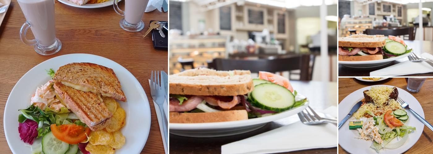 The Mulberry Tree Coffee Shop