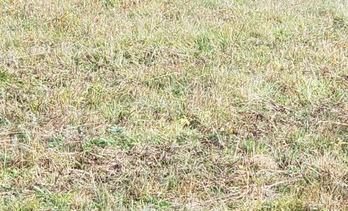 Diamond Hill Plywood Co Inc