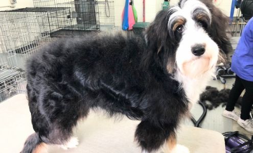 Aurora Kennel & Pet Shoppe Oshkosh