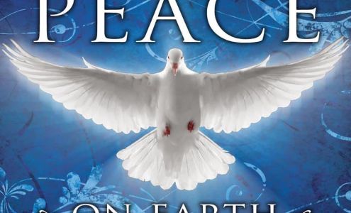 Salish Winds Indianola