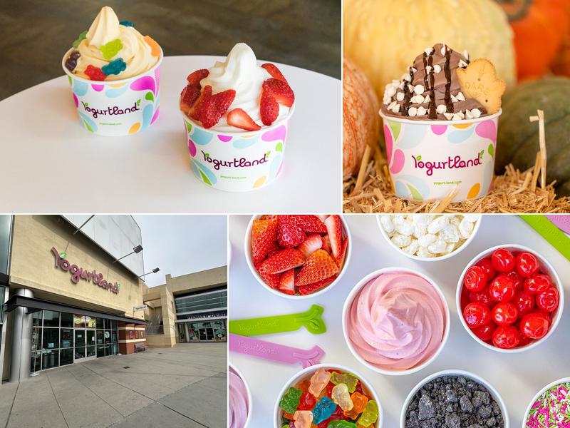 Yogurtland Carson 20700 Avalon Blvd #560, Carson