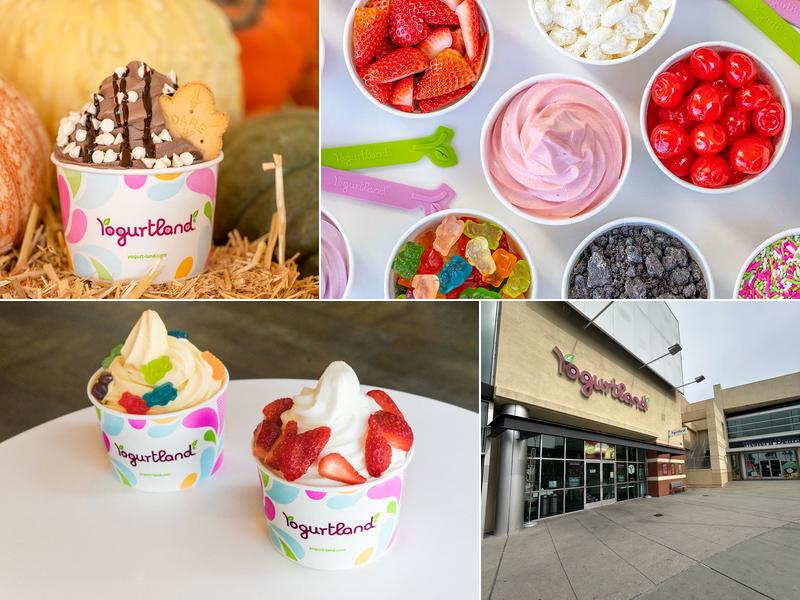 Yogurtland Carson